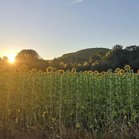 Spacieuse Maison En Perigord بيت للعطل لو بوج