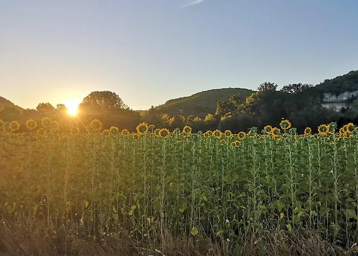Spacieuse Maison En Perigord Semesterbostad Le Bugue